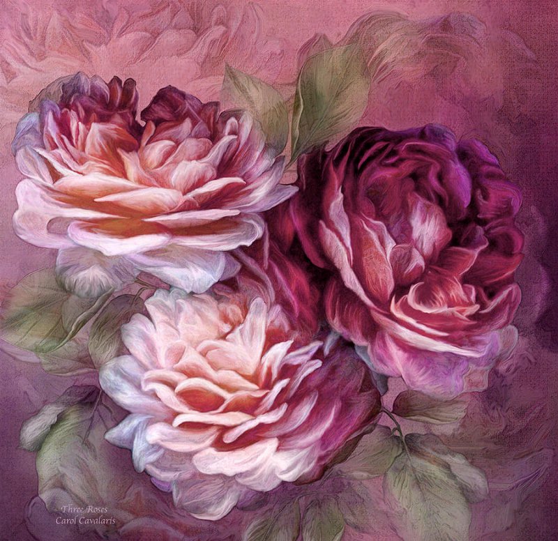 розы - розы - оригинал