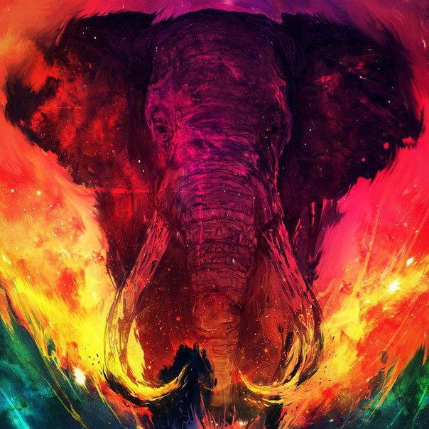 Digital Art par Ali Simhaq. Слон - животные, слон - оригинал