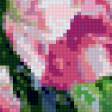Предпросмотр схемы вышивки «тюльпаны» (№1032661)