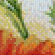 Предпросмотр схемы вышивки «маки» (№1032989)