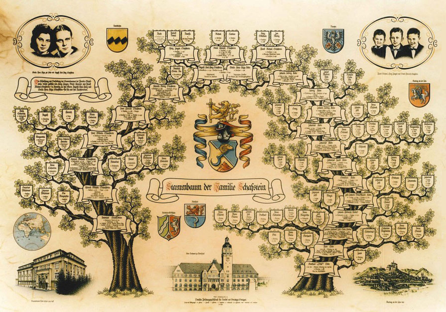 Генеалогическое древо двух родов - род, древо - оригинал