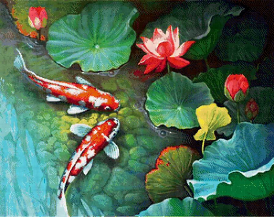 В пруду - пруд, лотосы, рыбки, кои, карпы - предпросмотр