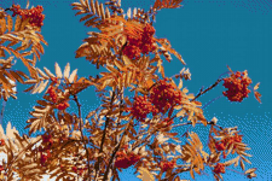 Костер осенний - осень, рябина - предпросмотр