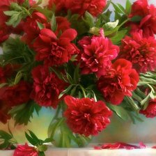 Схема вышивки «красные пионы»