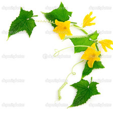 Схема вышивки «№1034207»