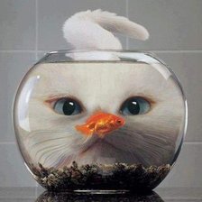 Схема вышивки «№1034240»