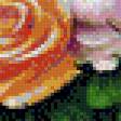 Предпросмотр схемы вышивки «розы» (№1034362)