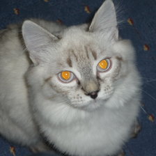 Схема вышивки «дуся»