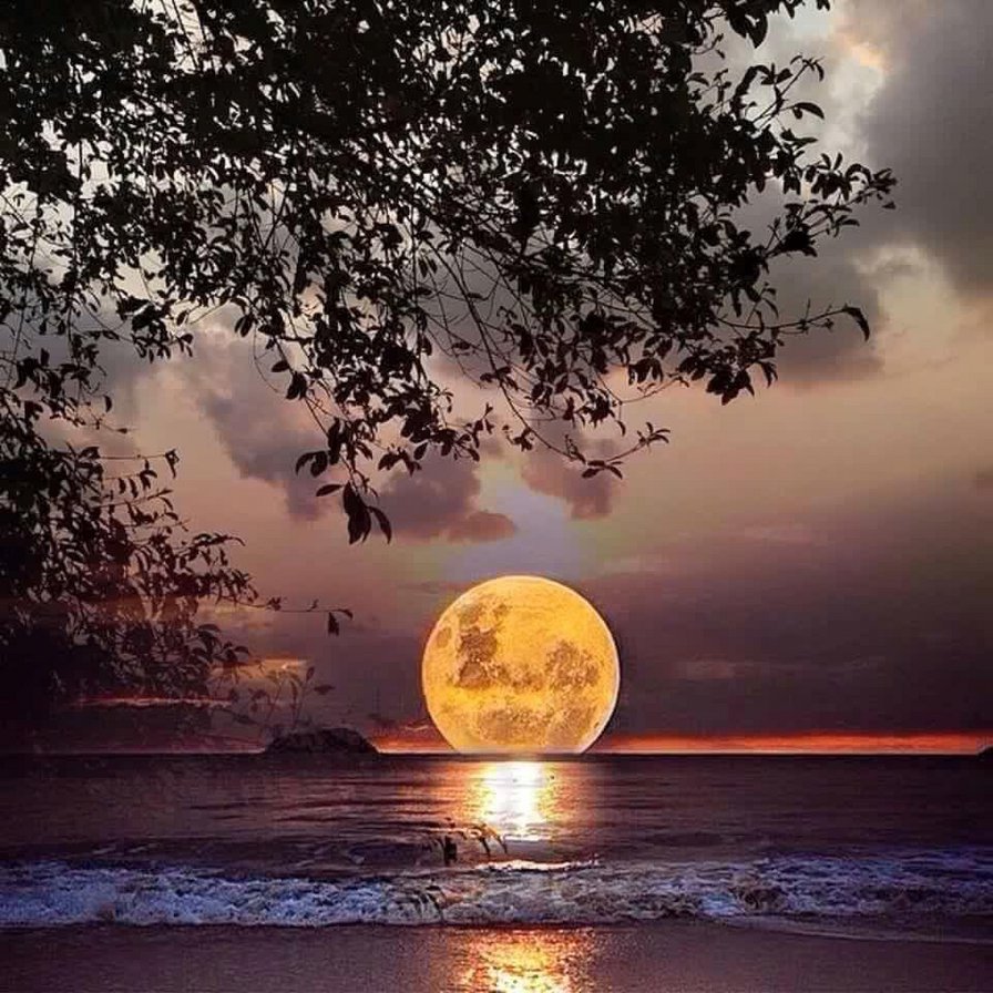 восход луны - луна, море - оригинал