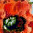 Предпросмотр схемы вышивки «маки» (№1034926)