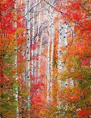 №1035232 - оригинал