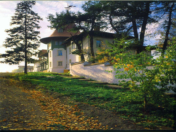 Дом каменского - природа - оригинал