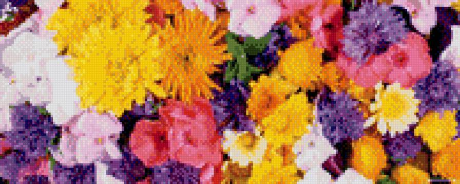 Цветное настроение - цветы - предпросмотр