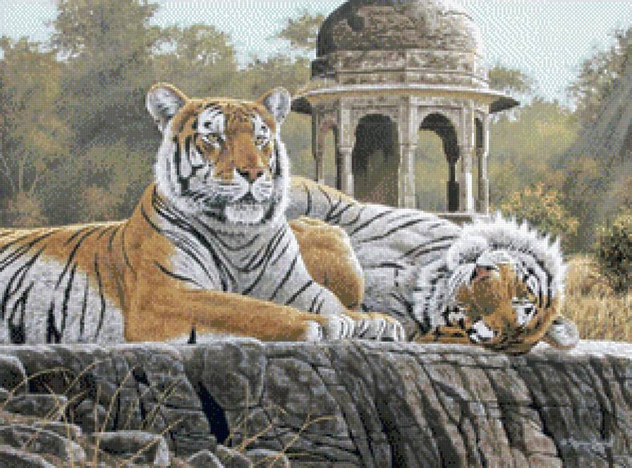 №1035846 - тигры - предпросмотр