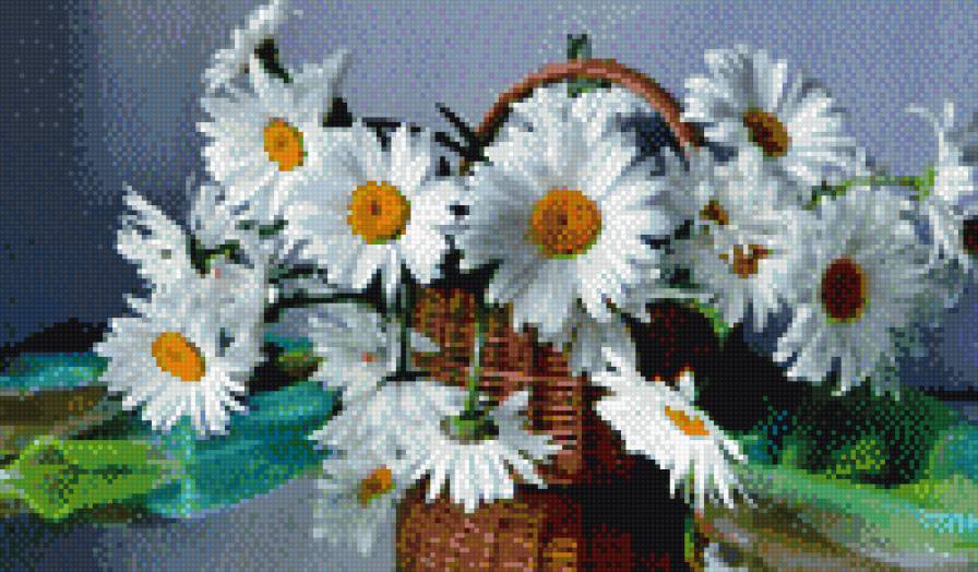 ромашки - цветы - предпросмотр