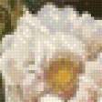 Предпросмотр схемы вышивки «букет цветов» (№1036395)