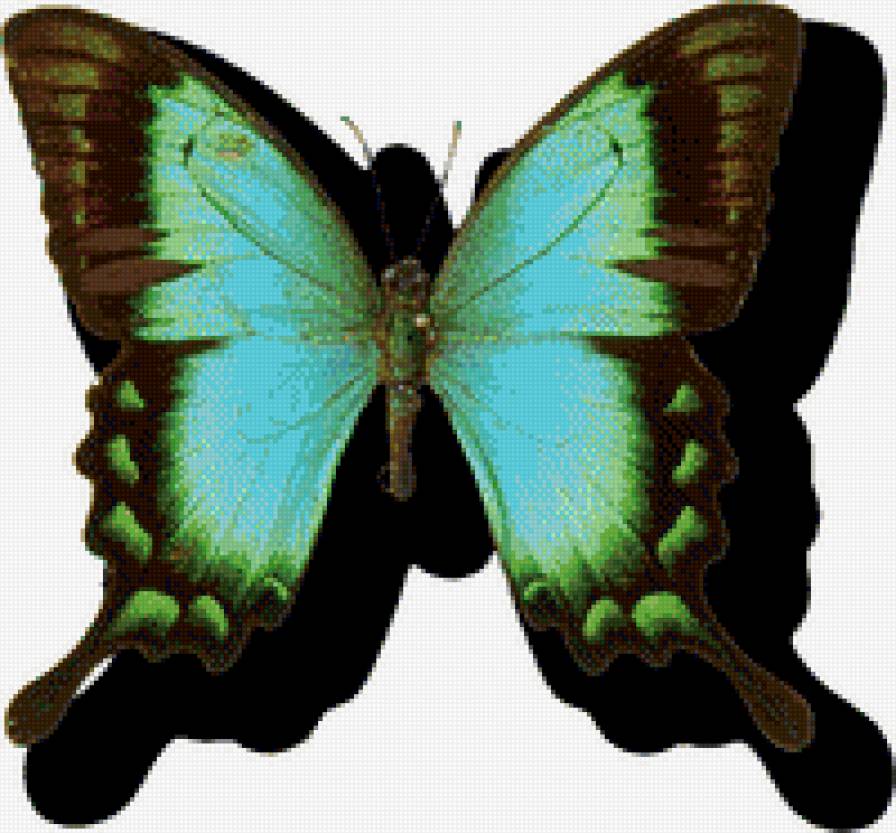 №1036827 - предпросмотр