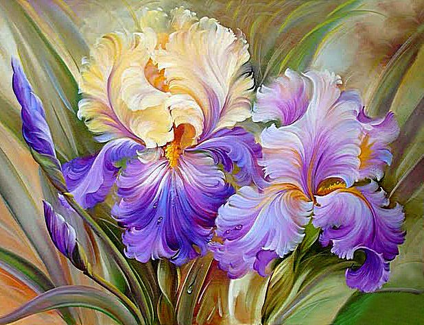 Ирисы - цветы - оригинал