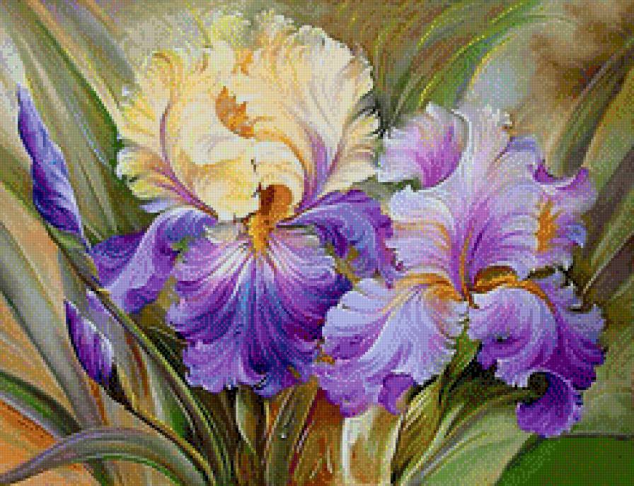 Ирисы - цветы - предпросмотр