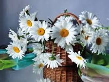 Схема вышивки «ромашки в корзине»