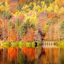 Схема вышивки «золотая осень»