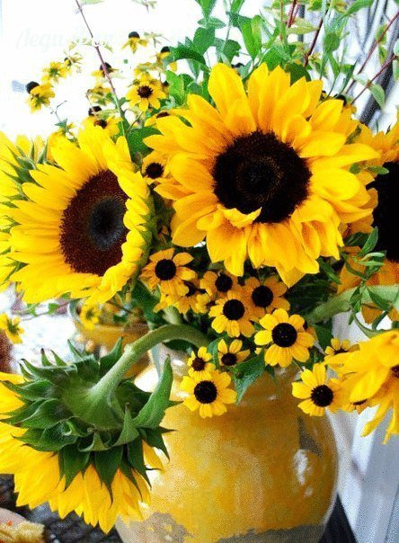 подсолнухи - оригинал