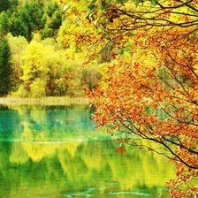 Схема вышивки «№1037357»