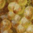 Предпросмотр схемы вышивки «Натюрморт виноград и тыква» (№1038122)