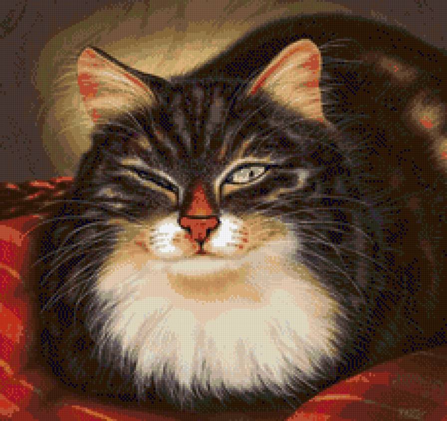 Хитрюга - кот - предпросмотр