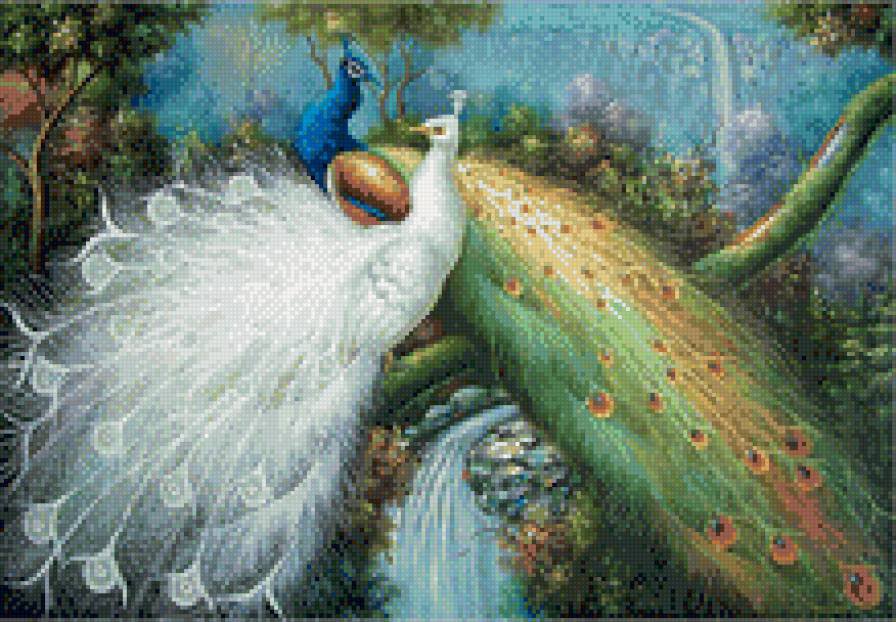 Павлины - птицы - оригинал