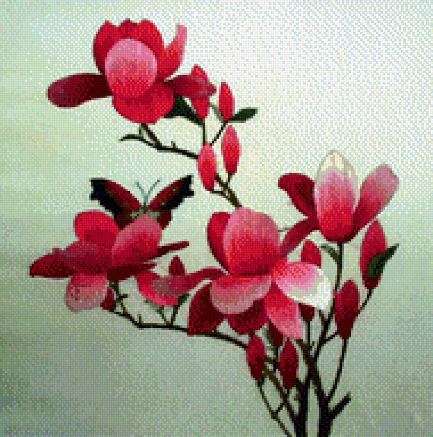 Цветы - флора - предпросмотр