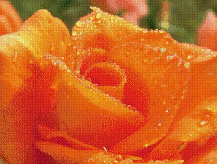 №1038653 - предпросмотр