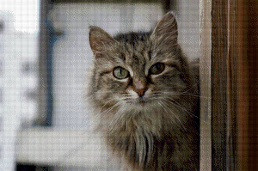 №1038655 - предпросмотр