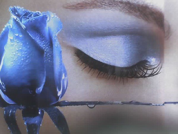 №1038660 - оригинал