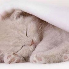 Схема вышивки «№1038671»