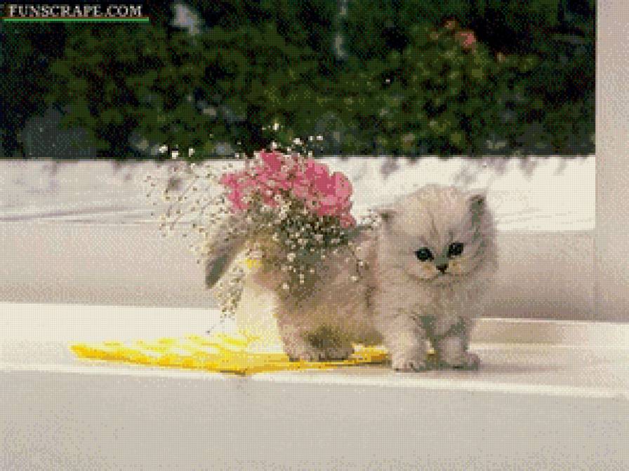 №1038686 - предпросмотр