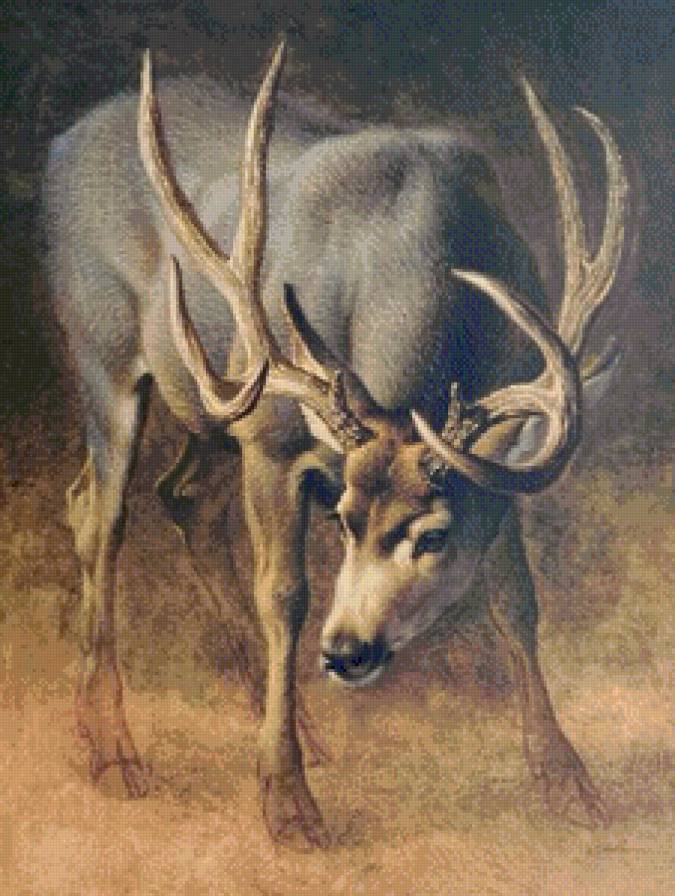 №1038865 - предпросмотр