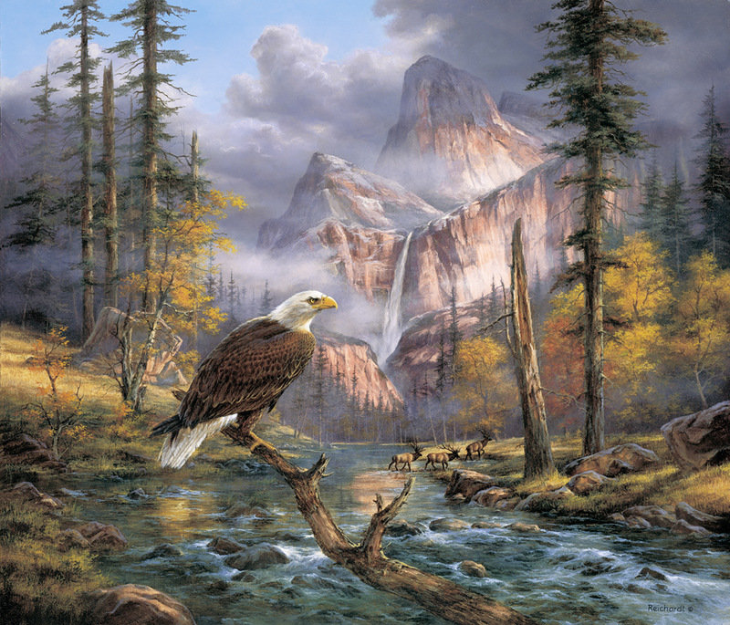 горный орел - птицы - оригинал