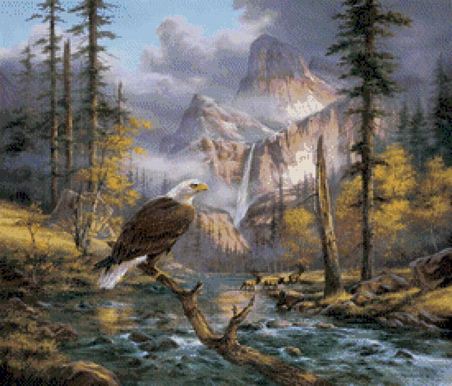 горный орел - птицы - предпросмотр