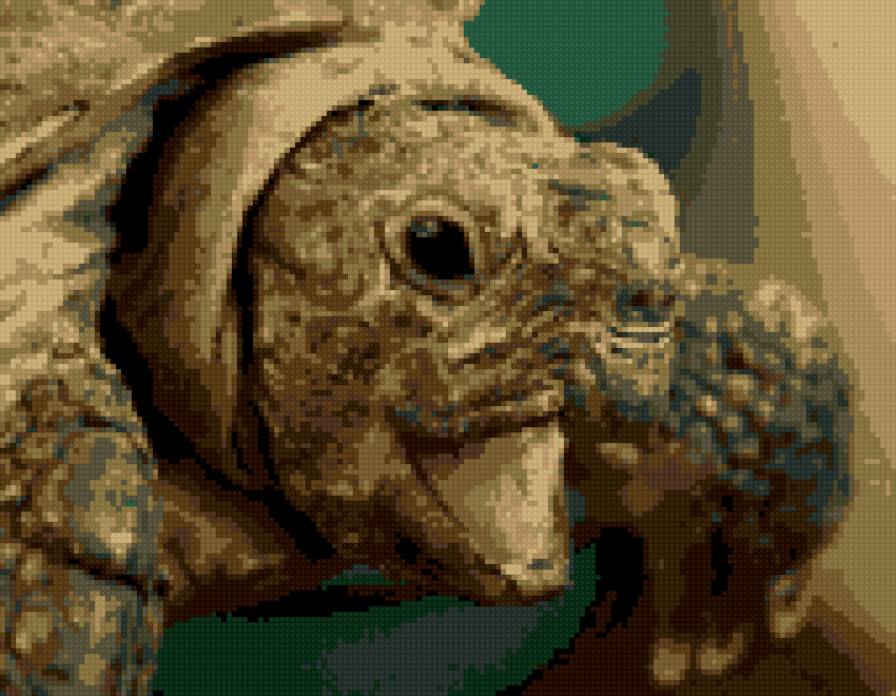 черепаша - предпросмотр