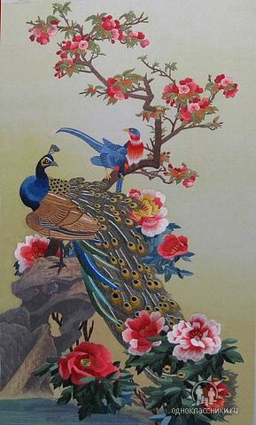 павлин - оригинал