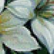 Предпросмотр схемы вышивки «лилии» (№1039210)
