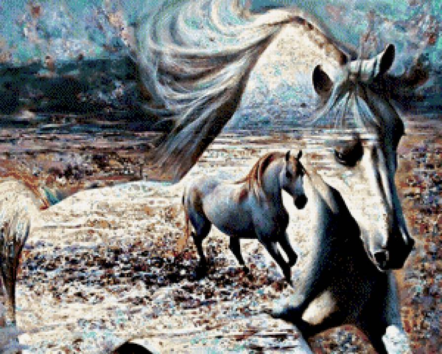 Кони - животные - предпросмотр