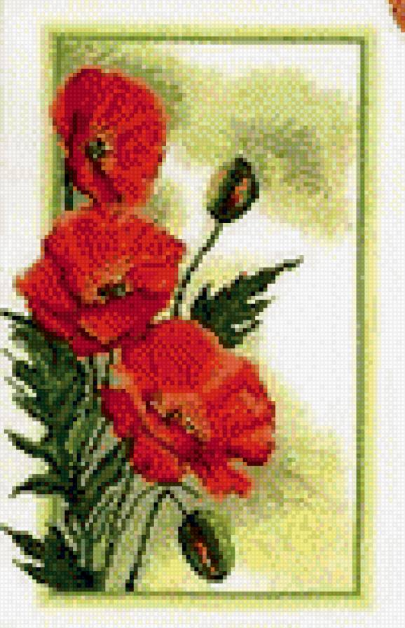 Маки - предпросмотр