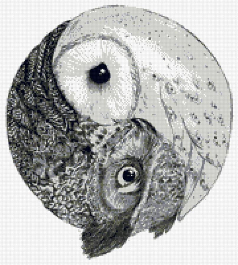 Совы Инь Янь - предпросмотр