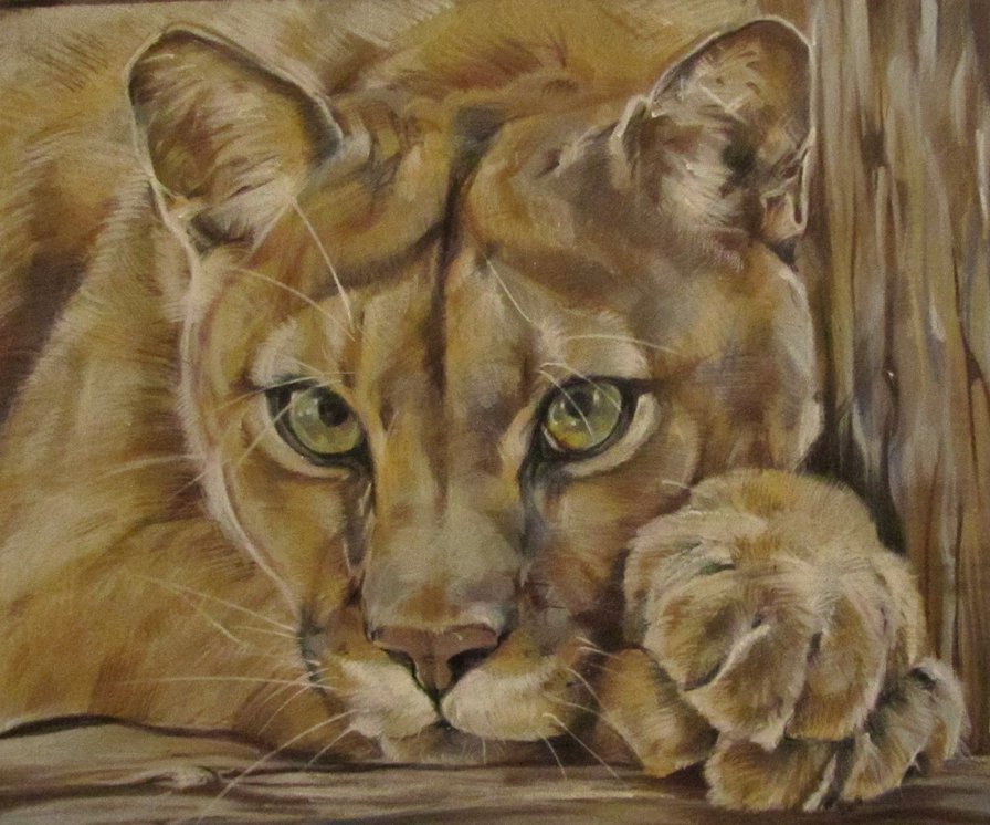 пума - оригинал