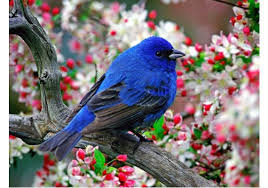 №1040099 - оригинал