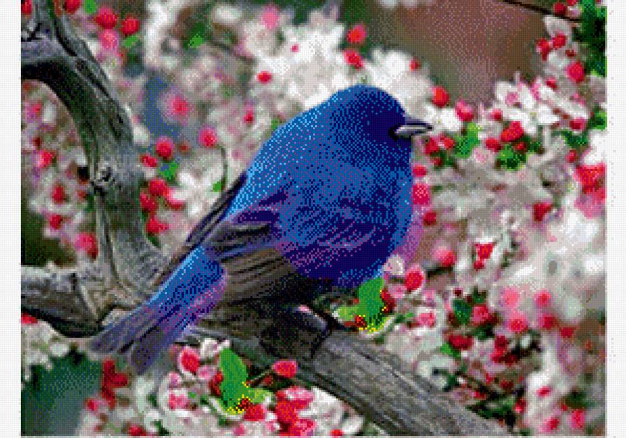 №1040099 - предпросмотр