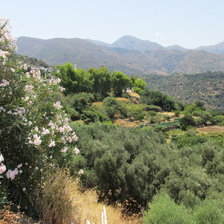 Схема вышивки «крит 1»