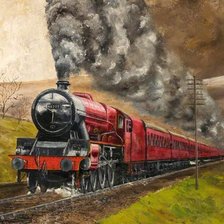 Схема вышивки «LOCOMOTORA»